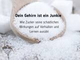 Dein Gehirn ist ein Junkie