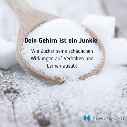 Dein Gehirn ist ein Junkie