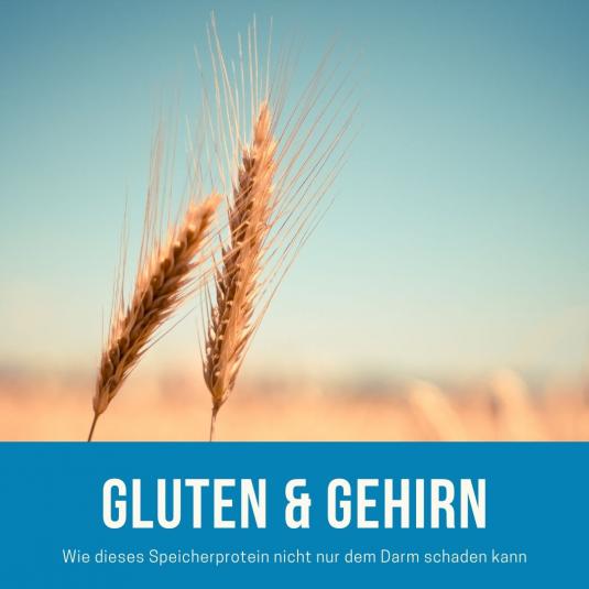 Gluten & Gehirn- ein Trend oder eine unterschätzte Gefahr?