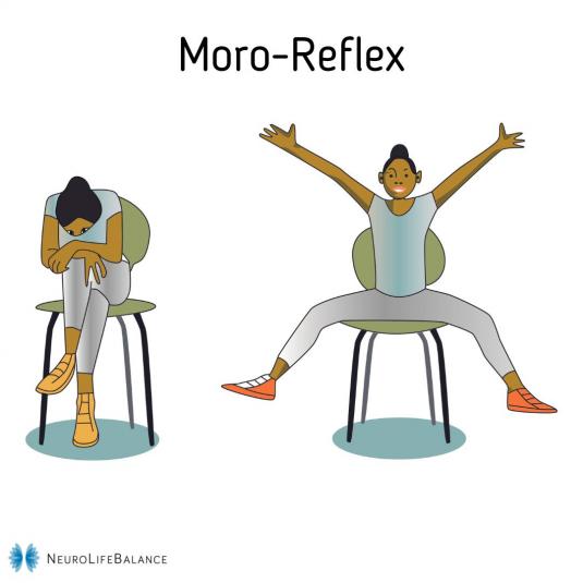 Artikel-Serie: Primitive Reflexe